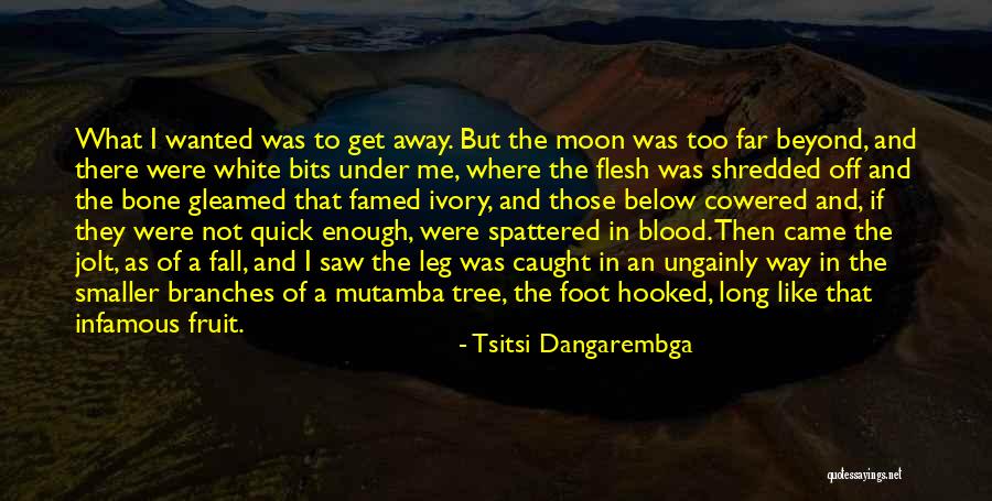The Blood Moon Quotes By Tsitsi Dangarembga