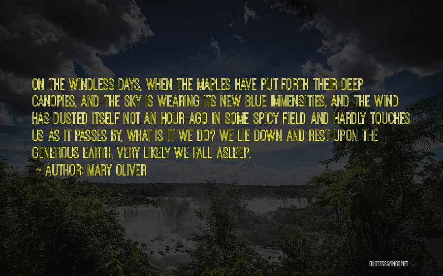 The Blue Hour Quotes By Mary Oliver