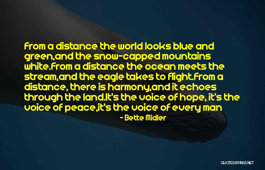 The Blue Mountains Quotes By Bette Midler