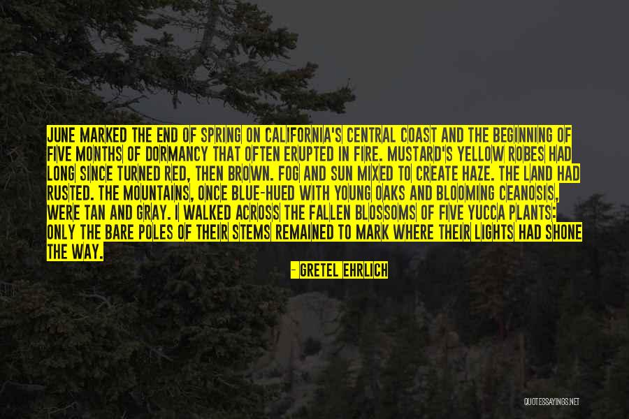 The Blue Mountains Quotes By Gretel Ehrlich