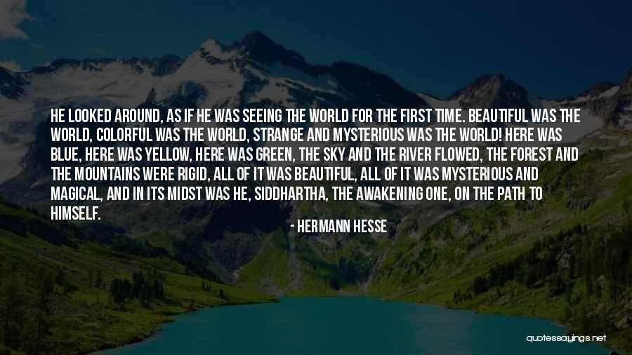 The Blue Mountains Quotes By Hermann Hesse