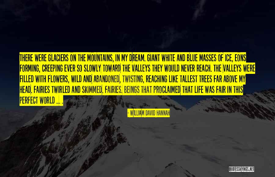 The Blue Mountains Quotes By William David Hannah