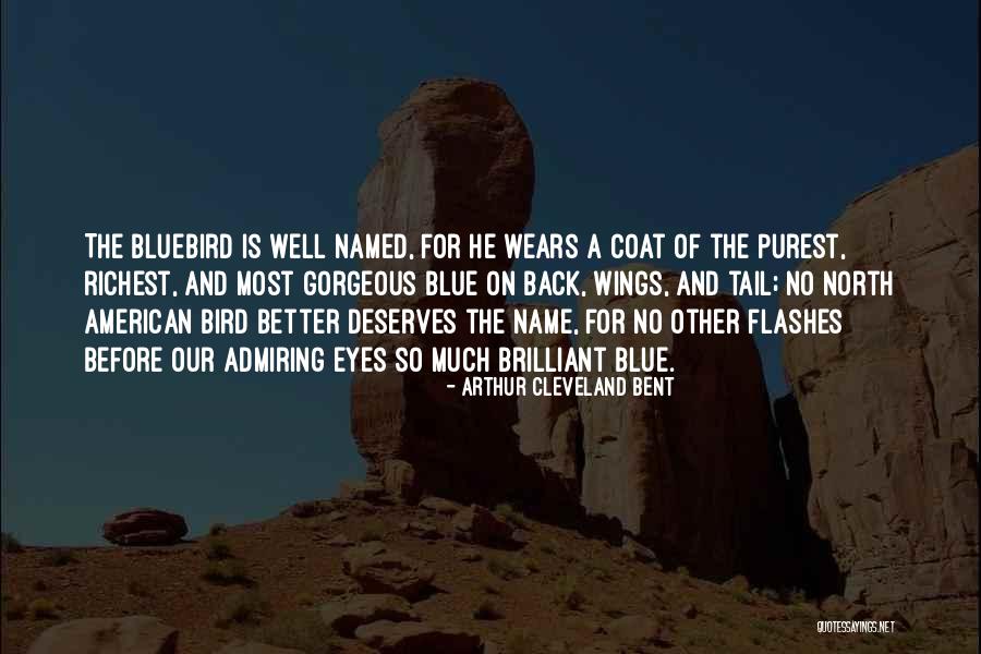 The Bluebird Quotes By Arthur Cleveland Bent The Bluebird Quotes By Arthur Cleveland Bent