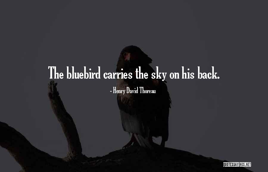 The Bluebird Quotes By Henry David Thoreau The Bluebird Quotes By Henry David Thoreau
