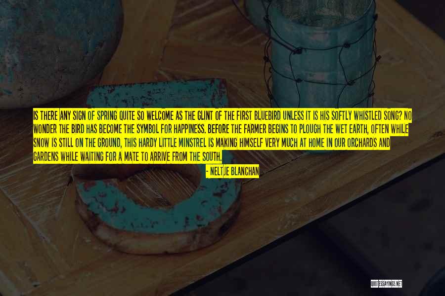 The Bluebird Quotes By Neltje Blanchan The Bluebird Quotes By Neltje Blanchan