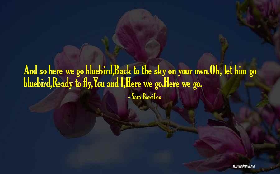 The Bluebird Quotes By Sara Bareilles The Bluebird Quotes By Sara Bareilles