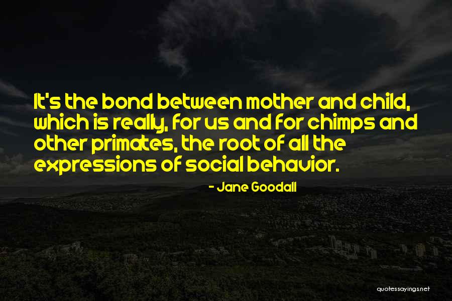 The Bond Between Mother And Child Quotes By Jane Goodall The Bond Between Mother And Child Quotes By Jane Goodall
