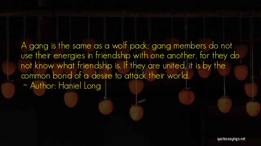 The Bond Of Friendship Quotes By Haniel Long