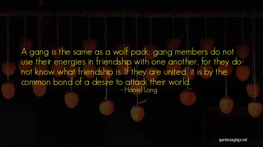 The Bond Of Friendship Quotes By Haniel Long