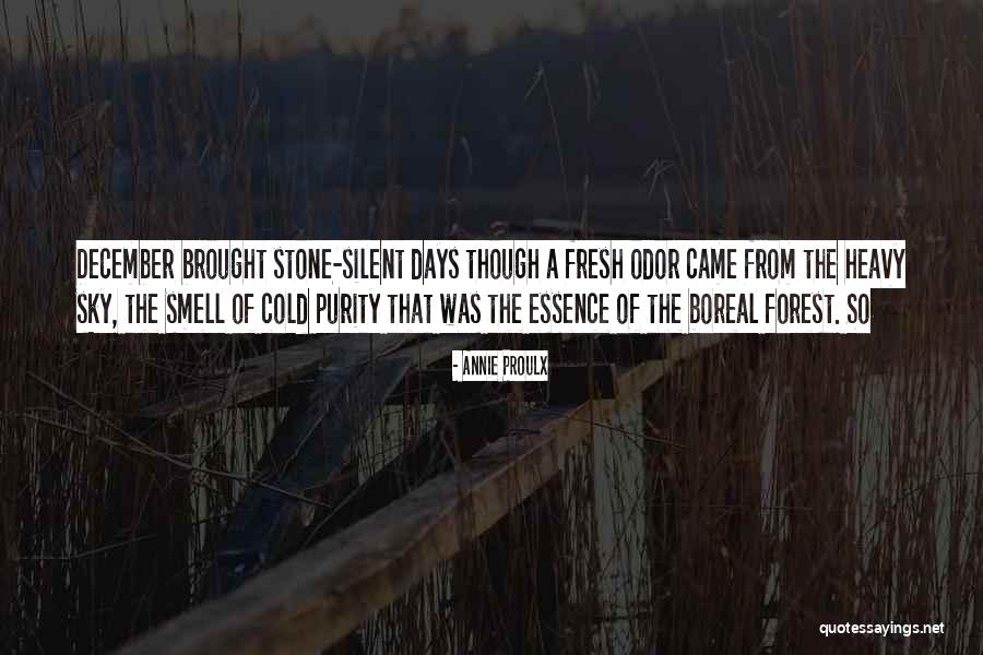 The Boreal Forest Quotes By Annie Proulx