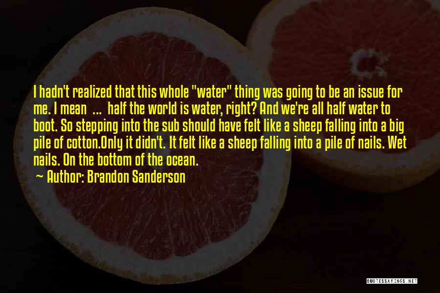 The Bottom Of The Ocean Quotes By Brandon Sanderson