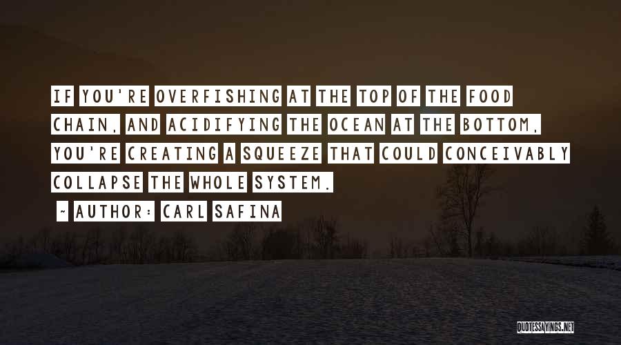 The Bottom Of The Ocean Quotes By Carl Safina