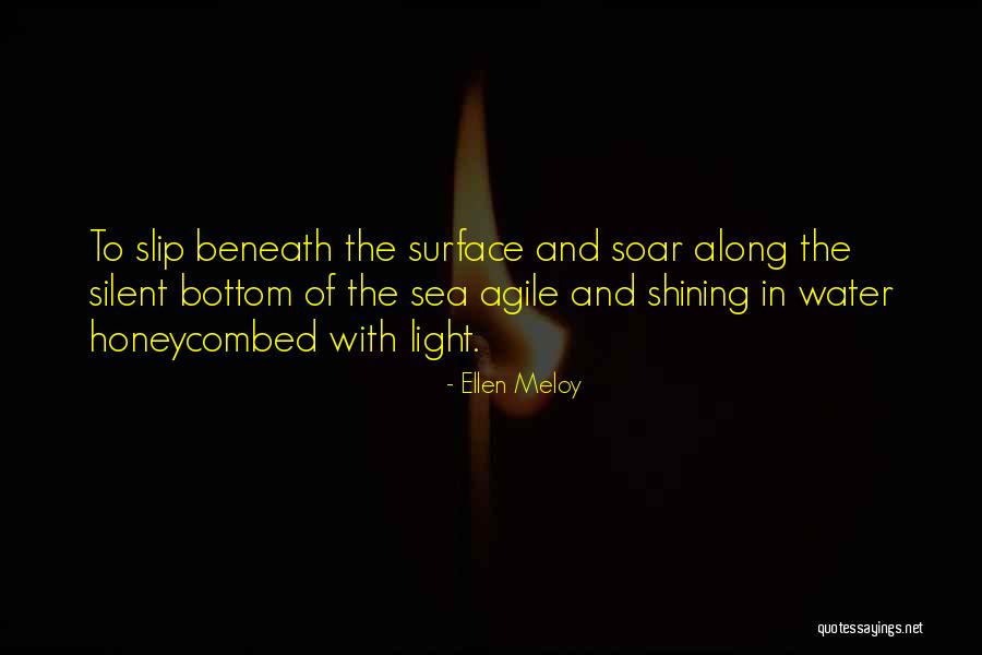 The Bottom Of The Sea Quotes By Ellen Meloy The Bottom Of The Sea Quotes By Ellen Meloy