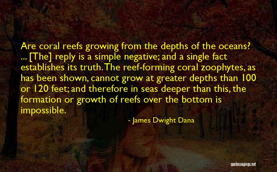 The Bottom Of The Sea Quotes By James Dwight Dana The Bottom Of The Sea Quotes By James Dwight Dana