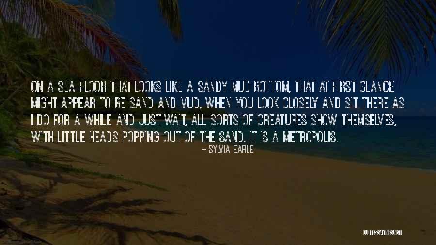 The Bottom Of The Sea Quotes By Sylvia Earle The Bottom Of The Sea Quotes By Sylvia Earle