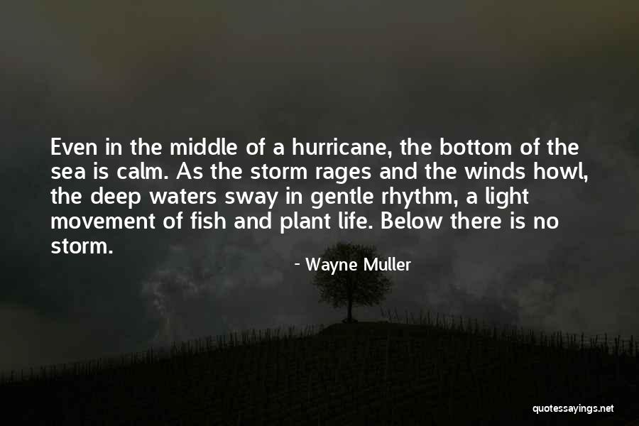 The Bottom Of The Sea Quotes By Wayne Muller The Bottom Of The Sea Quotes By Wayne Muller