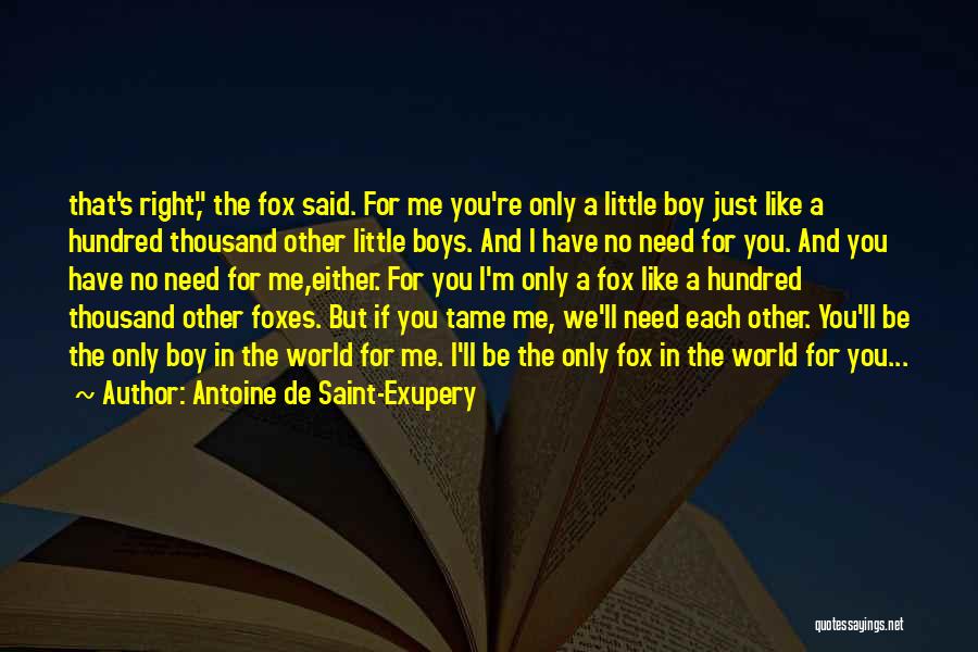 The Boy You Like Quotes By Antoine De Saint-Exupery