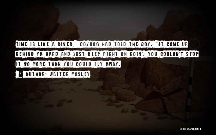 The Boy You Like Quotes By Walter Mosley