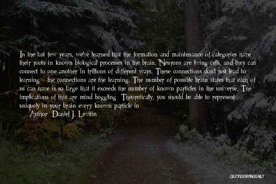 The Brain And Learning Quotes By Daniel J. Levitin