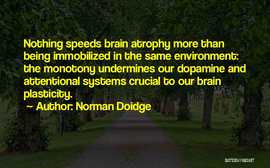 The Brain And Psychology Quotes By Norman Doidge