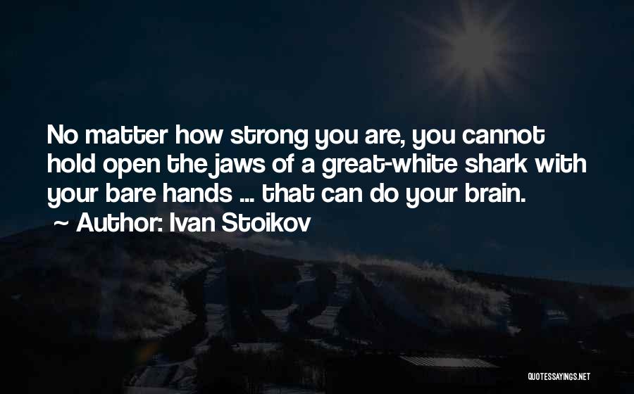 The Brain Funny Quotes By Ivan Stoikov