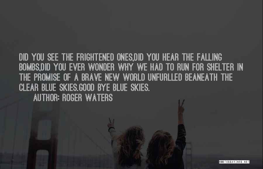The Brave New World Quotes By Roger Waters