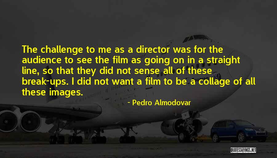 The Break Up Film Quotes By Pedro Almodovar