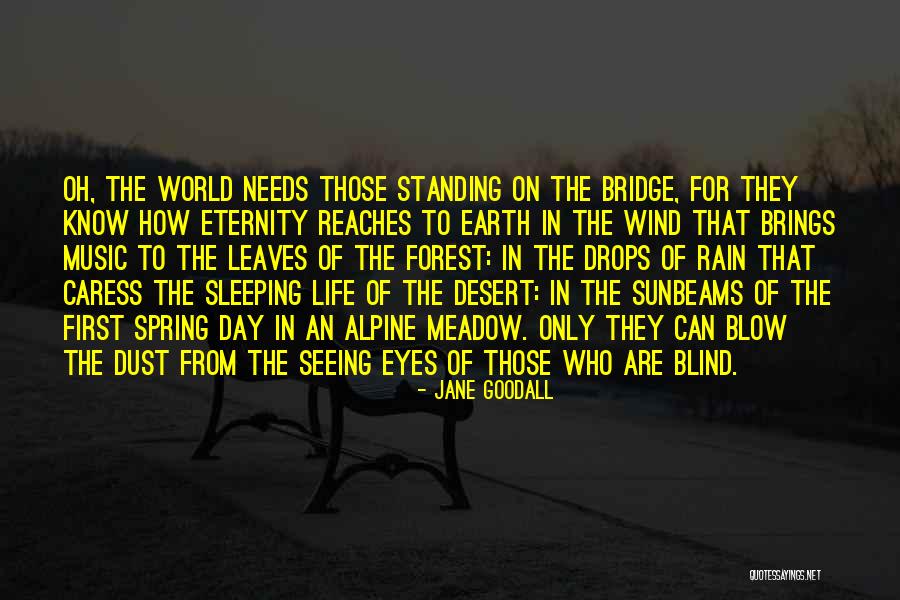 The Bridge Quotes By Jane Goodall The Bridge Quotes By Jane Goodall