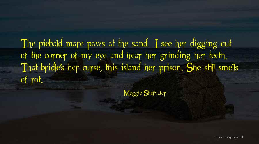 The Bridle Quotes By Maggie Stiefvater The Bridle Quotes By Maggie Stiefvater