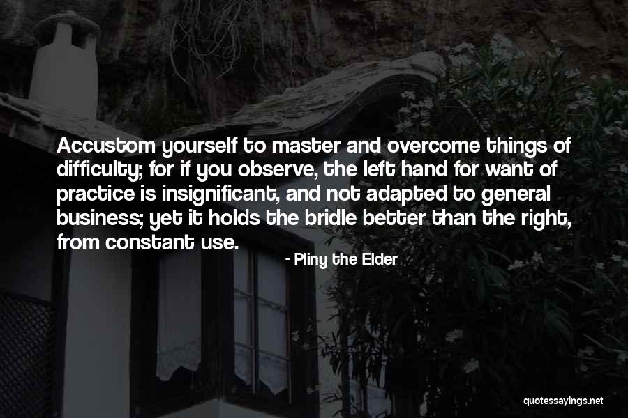 The Bridle Quotes By Pliny The Elder The Bridle Quotes By Pliny The Elder