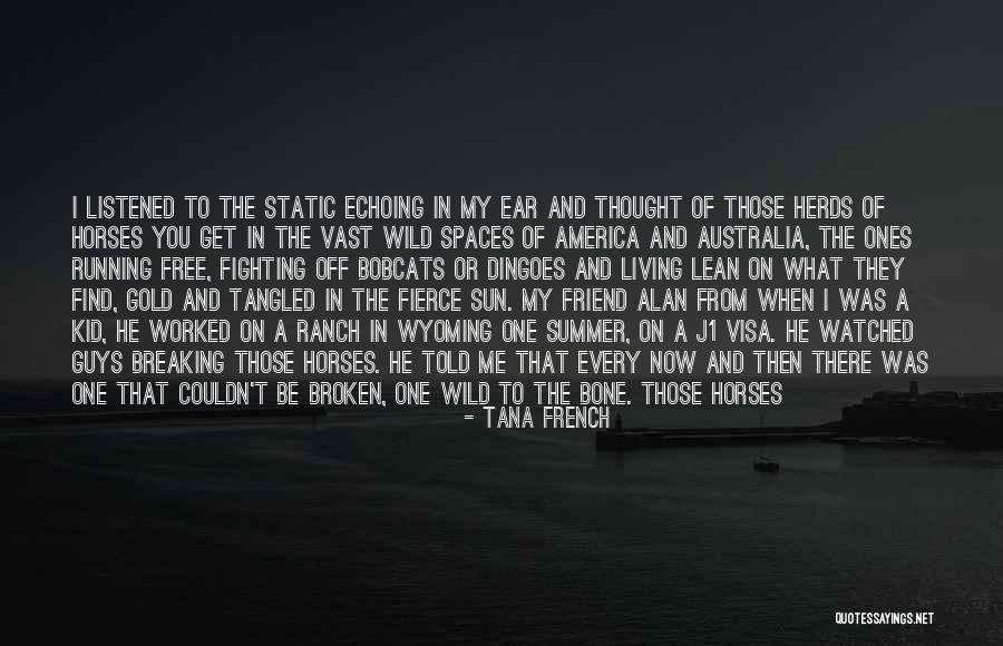 The Bridle Quotes By Tana French The Bridle Quotes By Tana French