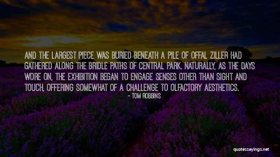 The Bridle Quotes By Tom Robbins The Bridle Quotes By Tom Robbins