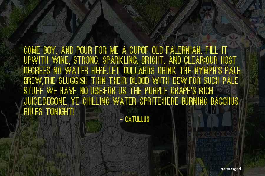 The Bright Boy Quotes By Catullus The Bright Boy Quotes By Catullus