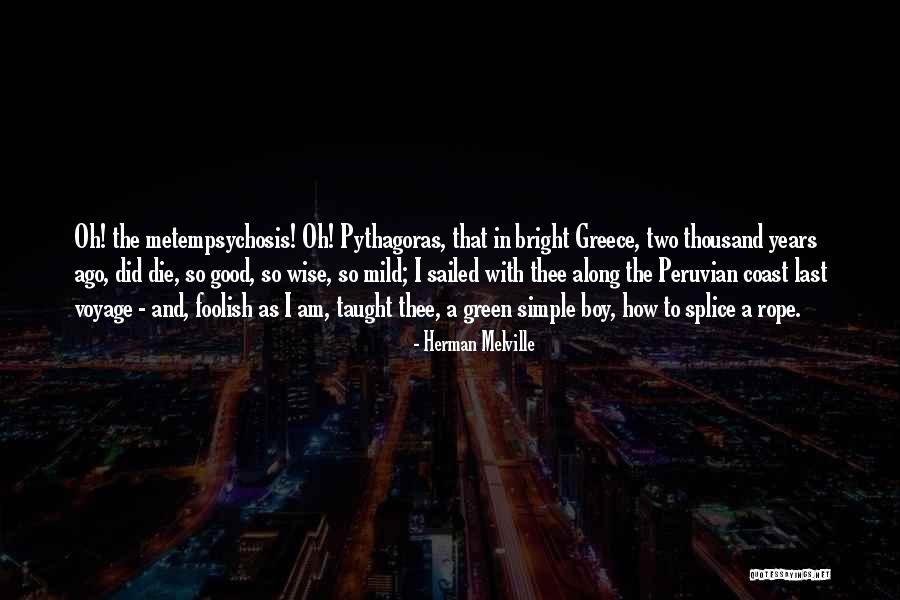 The Bright Boy Quotes By Herman Melville The Bright Boy Quotes By Herman Melville