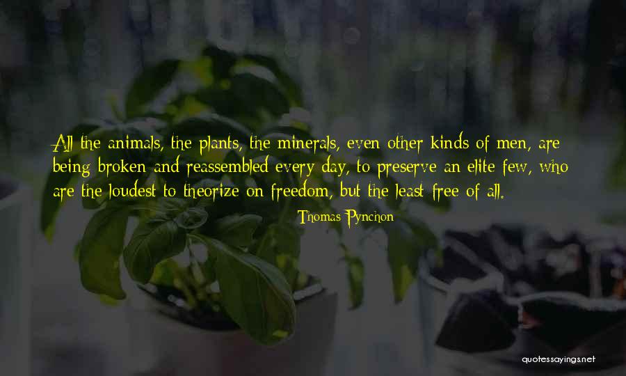 The Broken Destiny Quotes By Thomas Pynchon The Broken Destiny Quotes By Thomas Pynchon