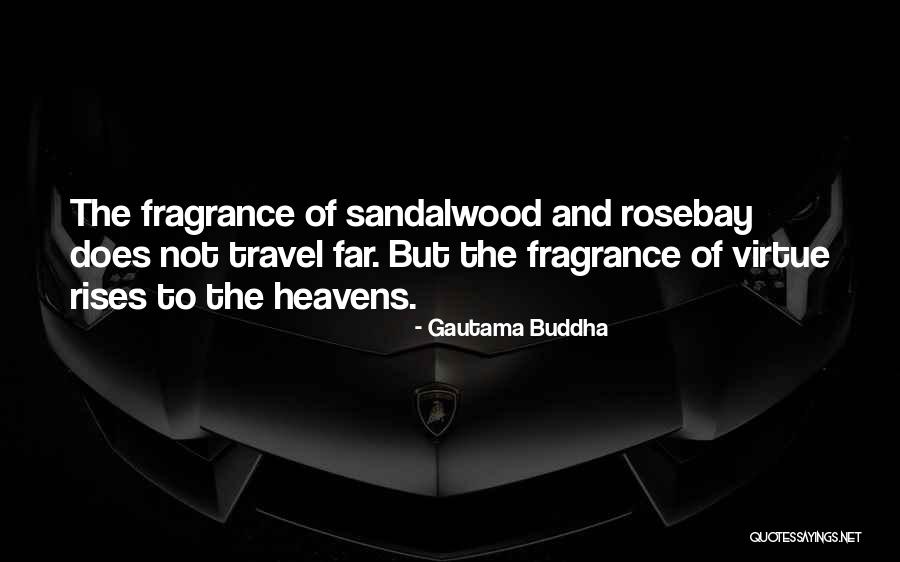 The Buddha Quotes By Gautama Buddha The Buddha Quotes By Gautama Buddha