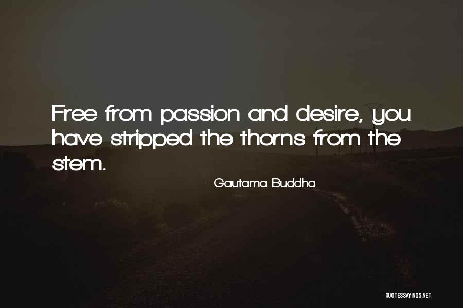 The Buddha Quotes By Gautama Buddha The Buddha Quotes By Gautama Buddha
