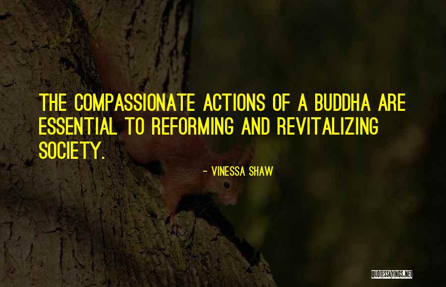 The Buddha Quotes By Vinessa Shaw The Buddha Quotes By Vinessa Shaw
