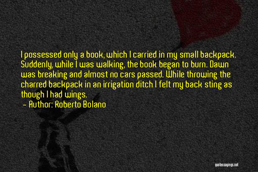 The Burn Book Quotes By Roberto Bolano