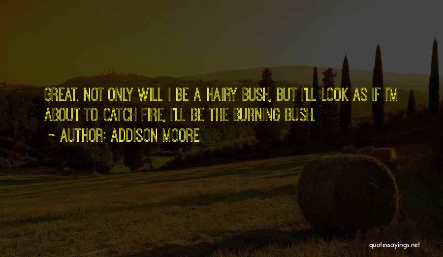 The Burning Bush Quotes By Addison Moore