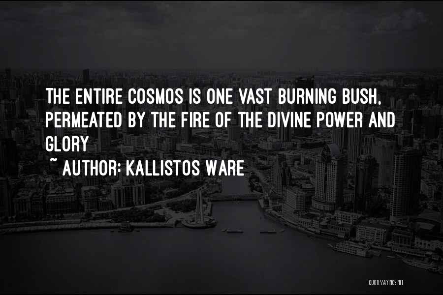 The Burning Bush Quotes By Kallistos Ware