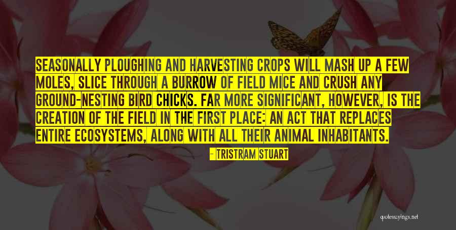 The Burrow Quotes By Tristram Stuart The Burrow Quotes By Tristram Stuart