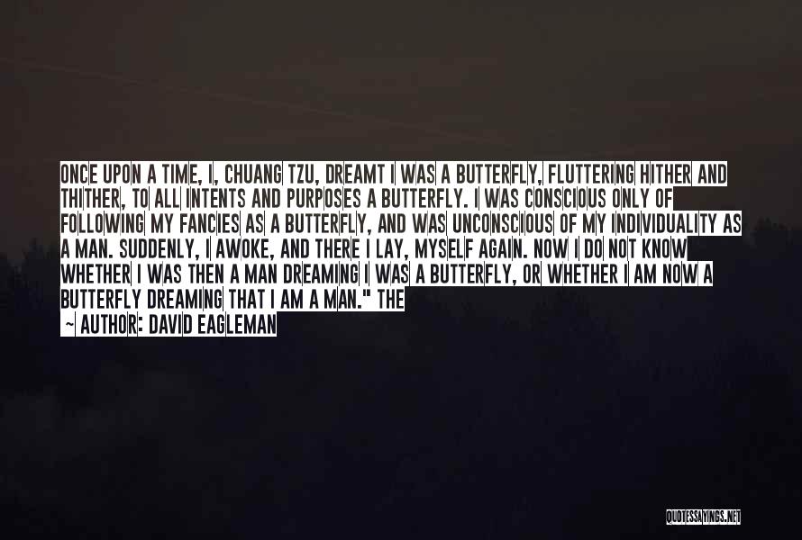 The Butterfly Man Quotes By David Eagleman