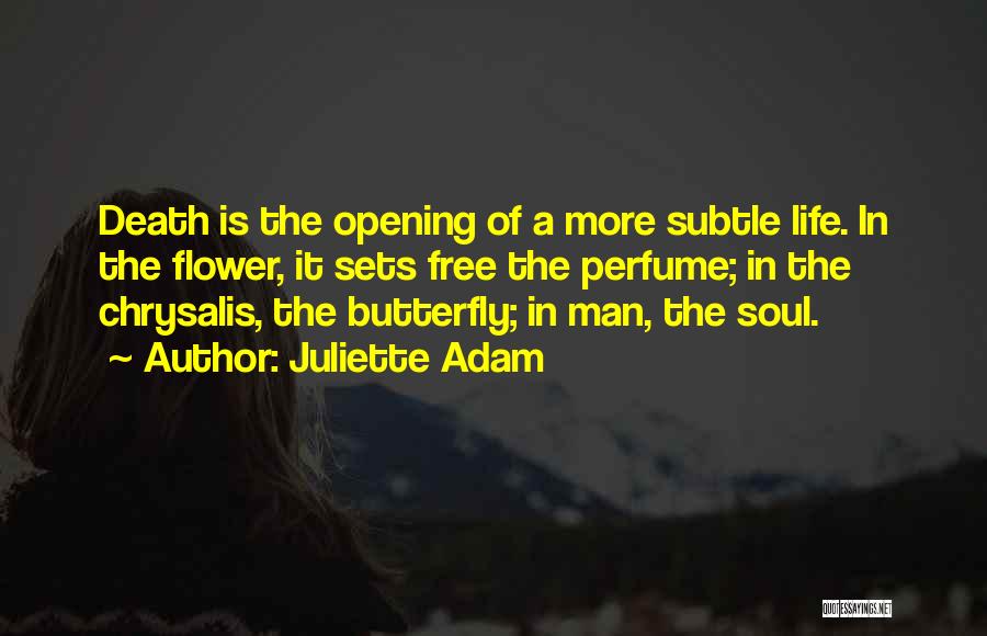 The Butterfly Man Quotes By Juliette Adam