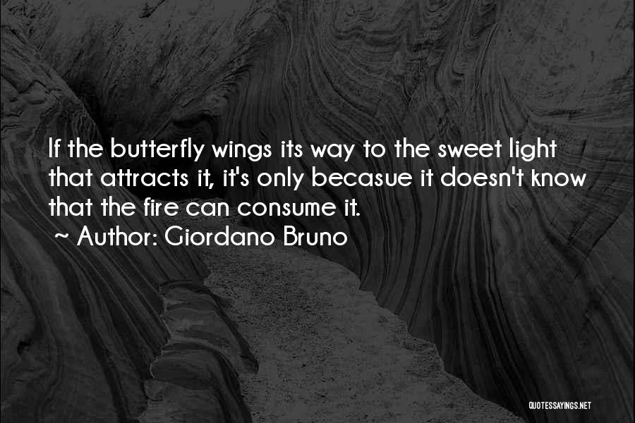 The Butterfly Quotes By Giordano Bruno