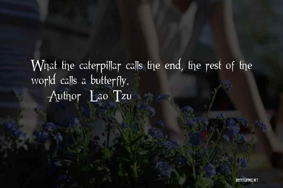 The Butterfly Quotes By Lao-Tzu