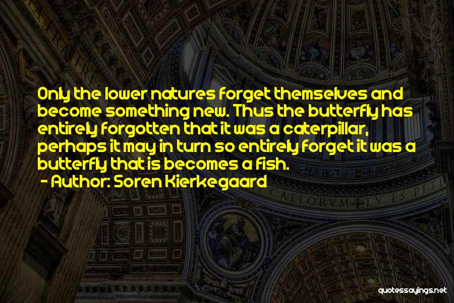 The Butterfly Quotes By Soren Kierkegaard