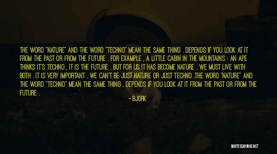 The Cabin Quotes By Bjork The Cabin Quotes By Bjork
