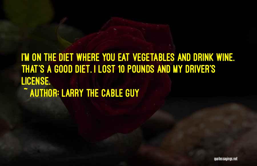 The Cable Guy Quotes By Larry The Cable Guy