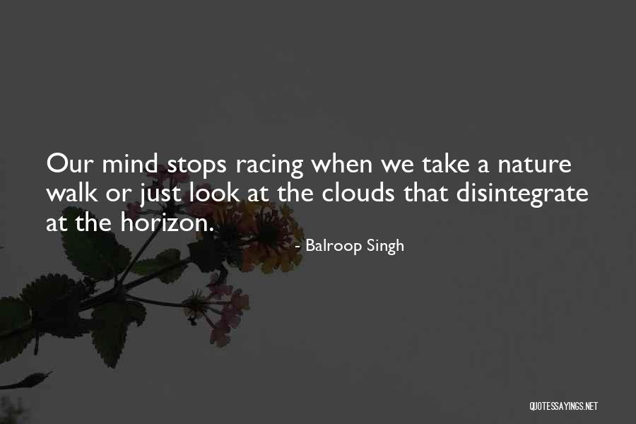 The Calmness Of Nature Quotes By Balroop Singh